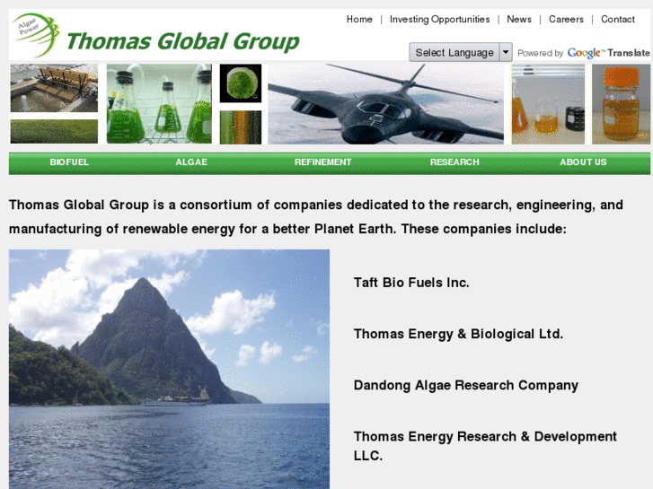 www.thomasglobalco.com