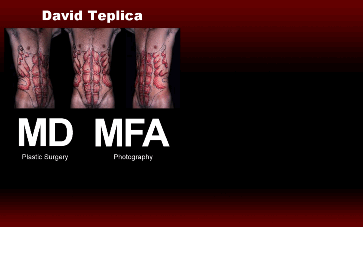 www.davidteplica.com