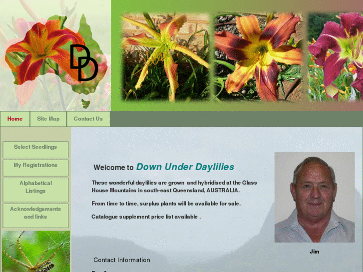 www.downunderdaylilies.com