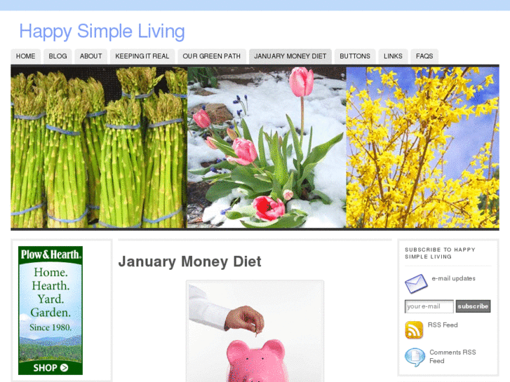 www.januarymoneydiet.com