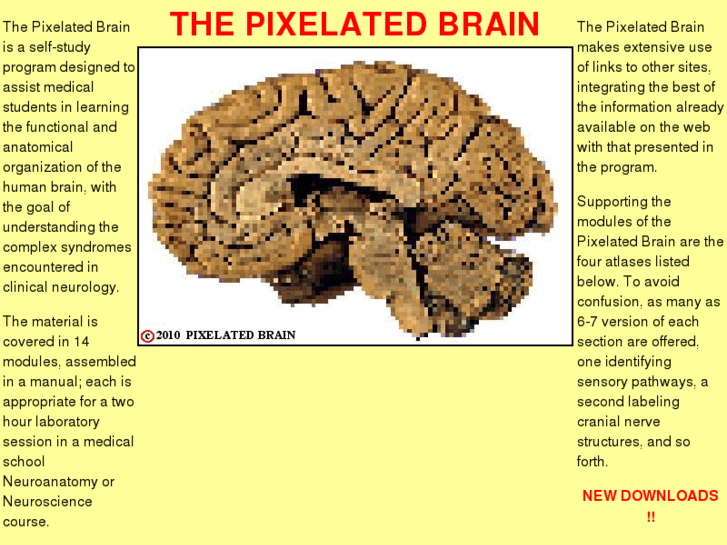 www.pixelatedbrain.com