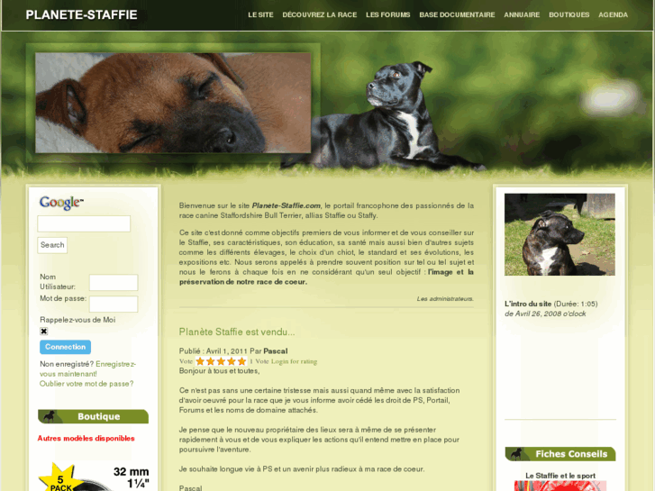 www.planete-staffie.com