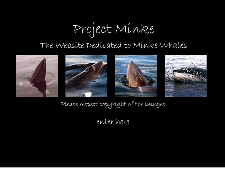 www.projectminke.com
