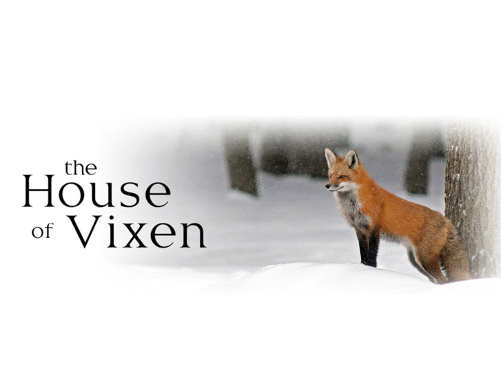 www.thehouseofvixen.com