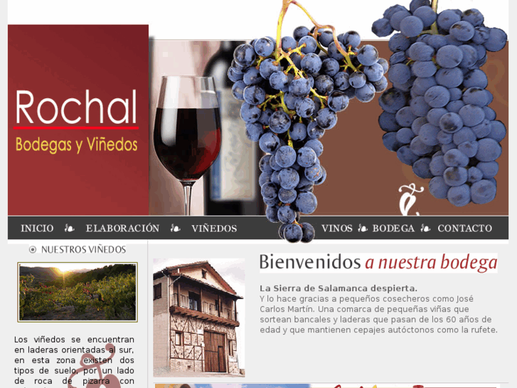 www.bodegasrochal.com