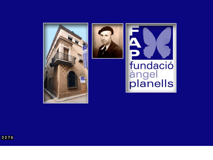 www.fundacioplanells.com