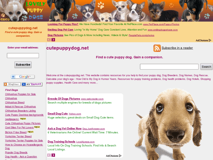 www.cutepuppydog.net