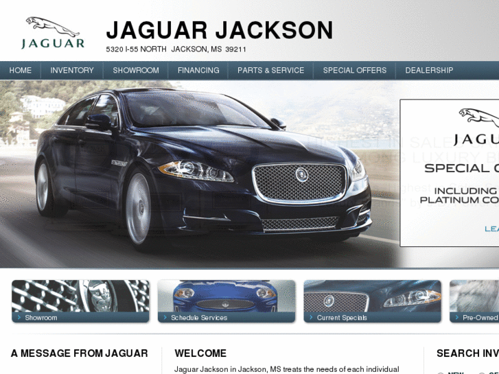 www.jaguarjackson.com