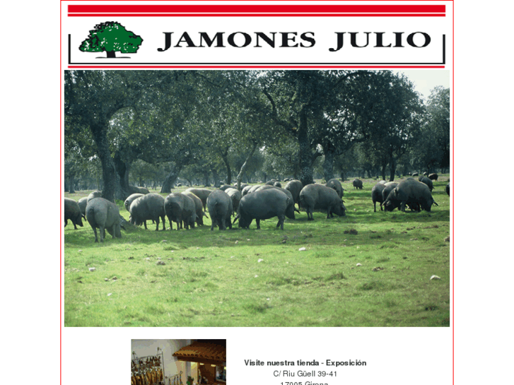 www.jamonesjulio.com