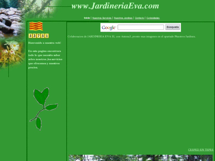 www.jardineriaeva.com