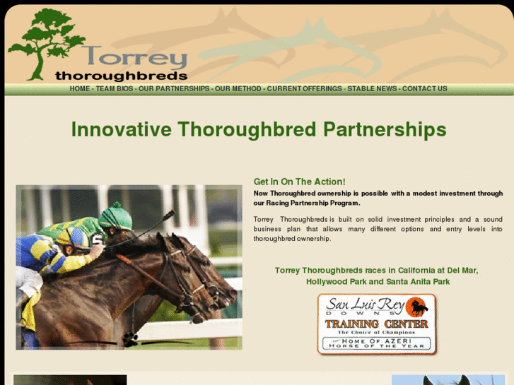 www.torreythoroughbreds.com