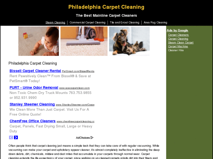 www.ecocarpetcleaning.com