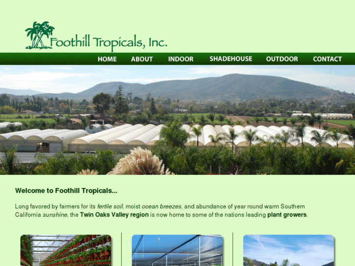 www.foothilltropicals.com