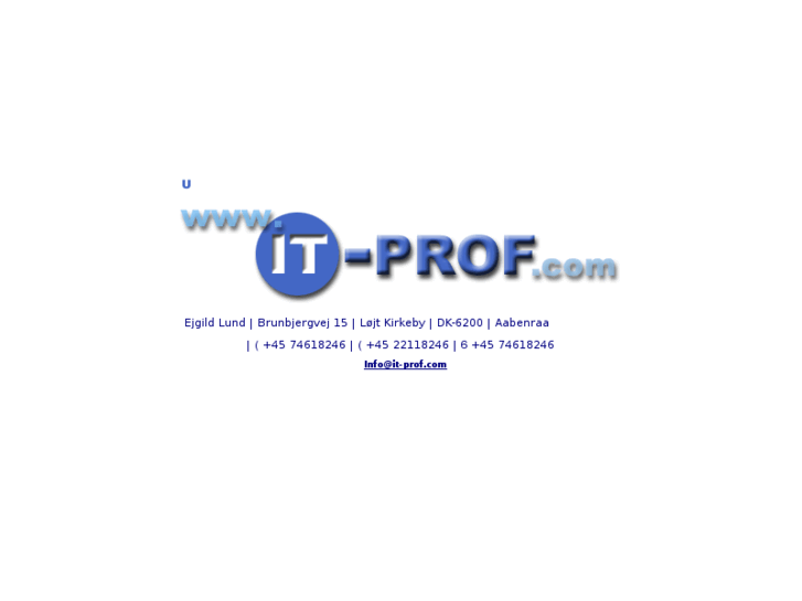 www.it-prof.com