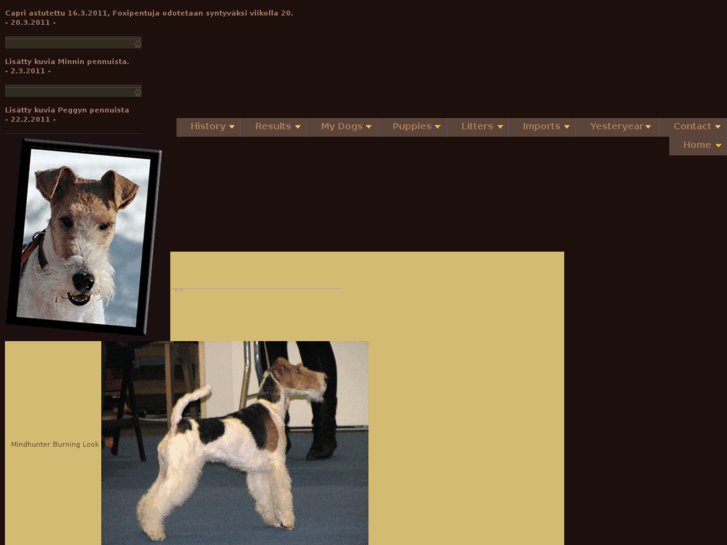 www.mindhunterterriers.com