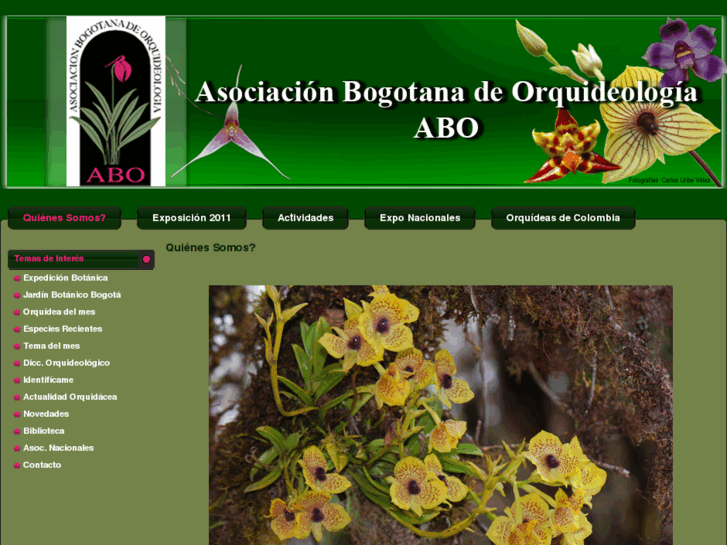 www.orquideasbogotaabo.com