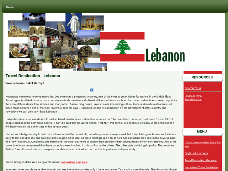 www.saveleb.org