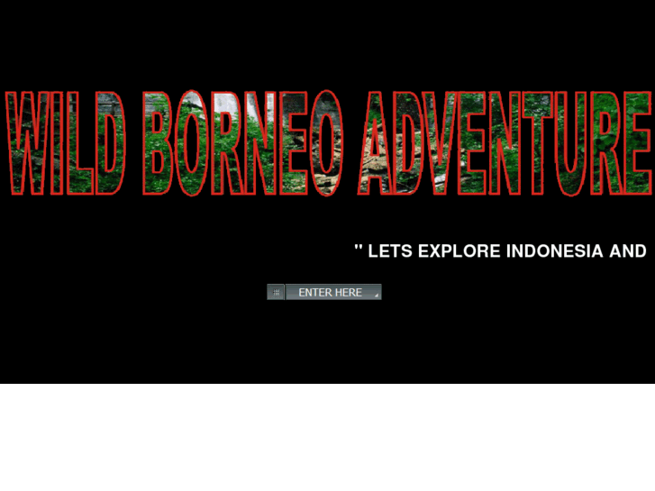 www.wildborneoadventure.com