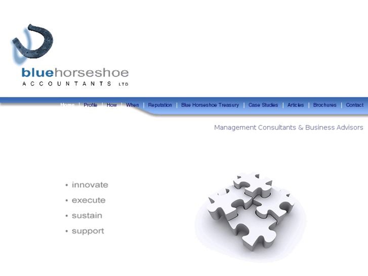 www.bluehorseshoeaccountants.com