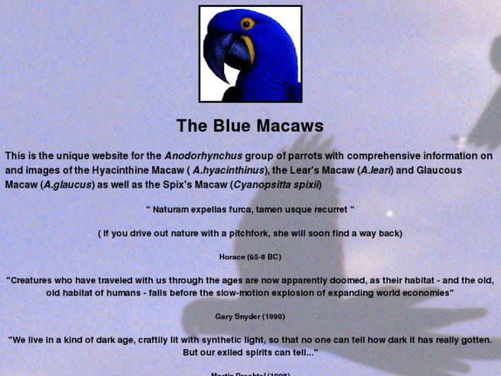 www.bluemacaws.info