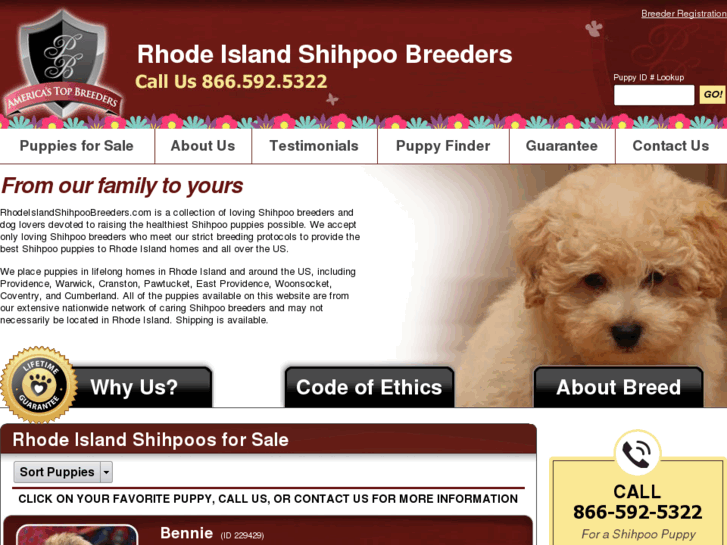 www.rhodeislandshihpoobreeders.com