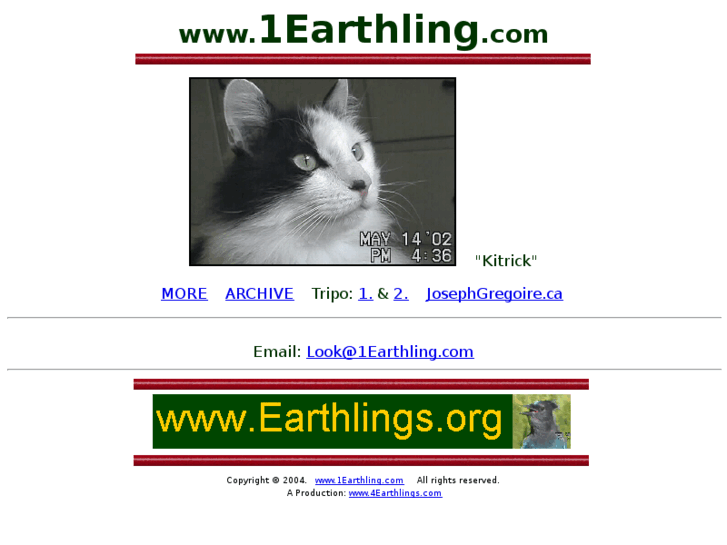 www.1earthling.com