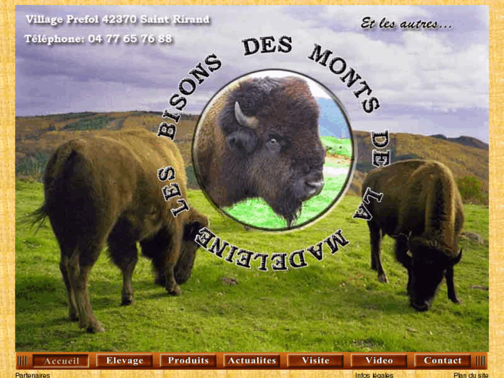 www.bisonsdesmontsdelamadeleine.com