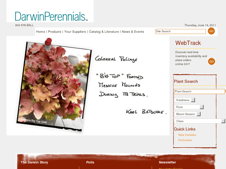 www.darwinperennials.com
