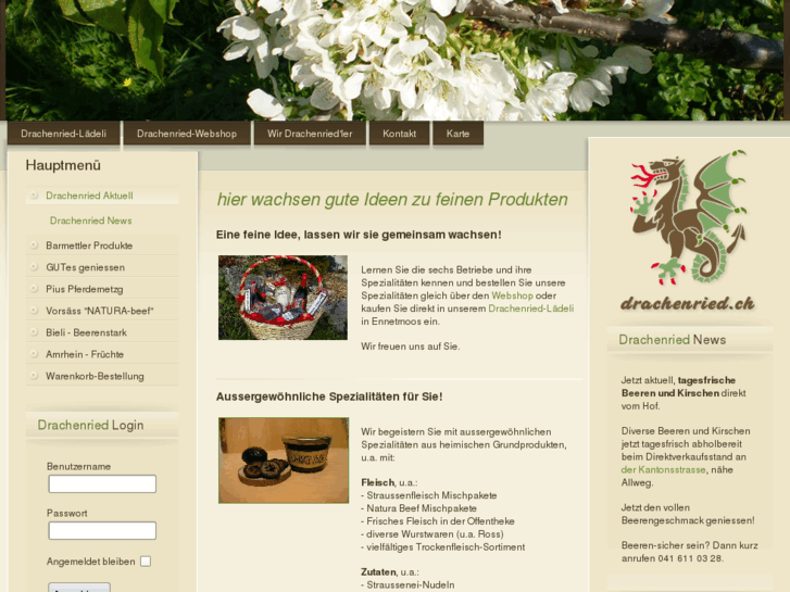 www.drachenried.ch