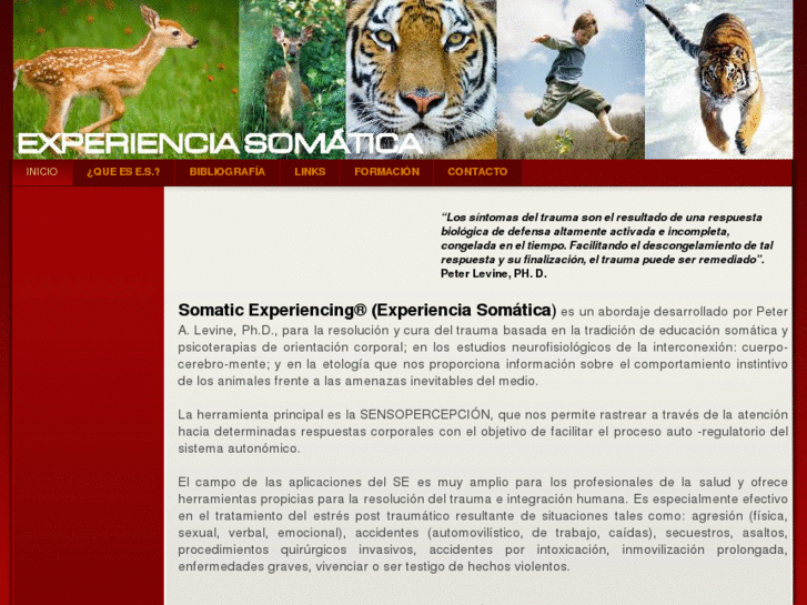 www.experienciasomatica.com