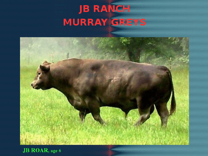 www.jbranchmurraygreys.com