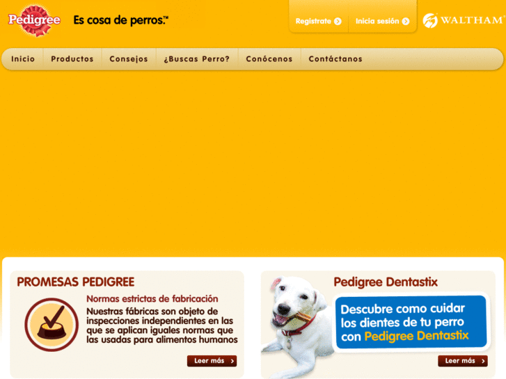 www.pedigree.es