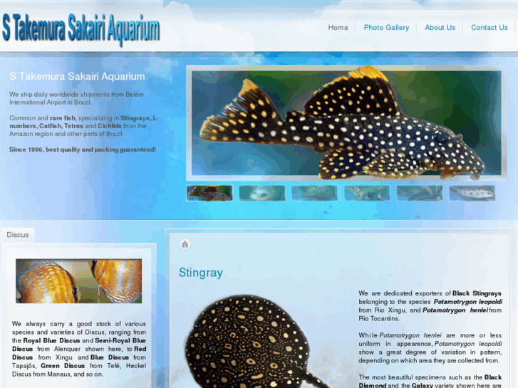 www.takemura-aquarium.com