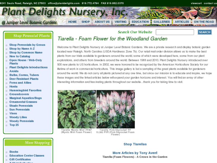 www.tiarellafoamflower.com