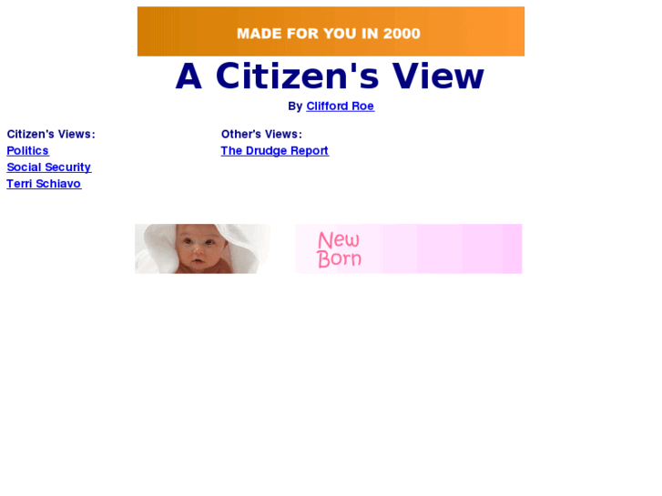 www.acitizensview.com