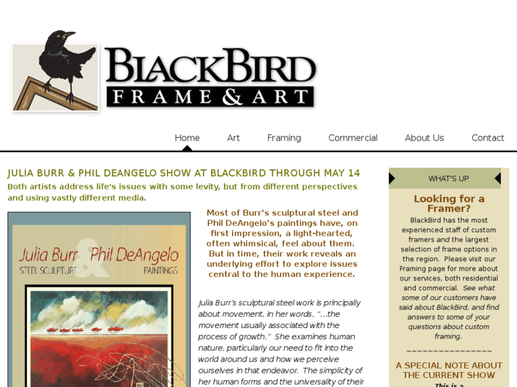 www.blackbirdframe.com