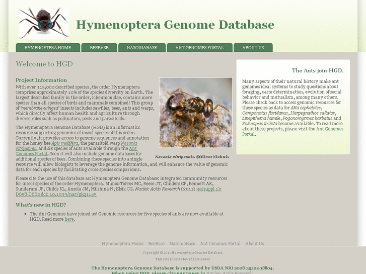 www.hymenopteragenome.org