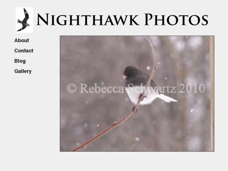 www.nighthawkphotos.com