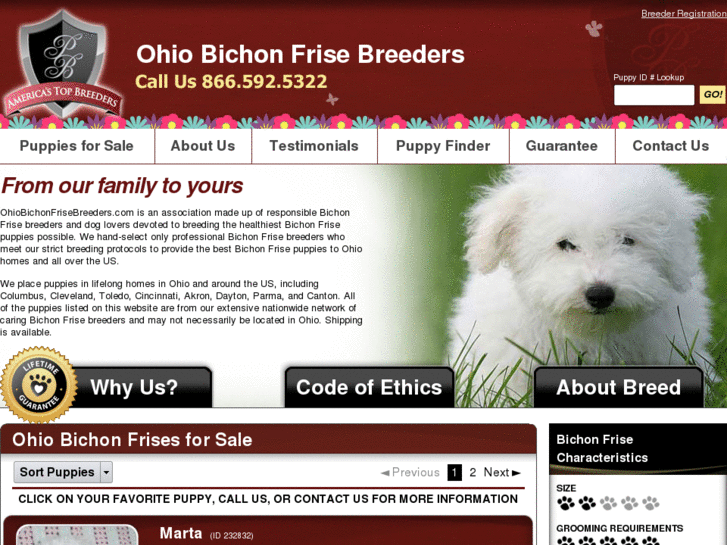 www.ohiobichonfrisebreeders.com