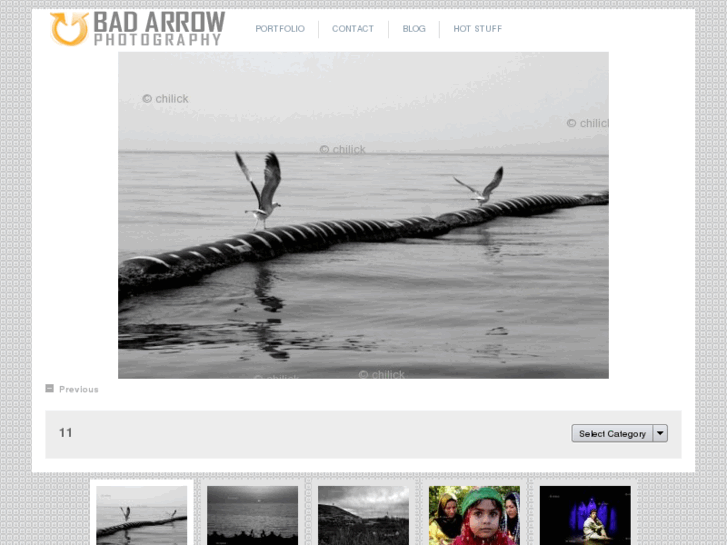 www.seyedfatemi.com