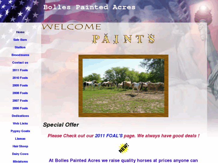 www.bollespaintedacres.com