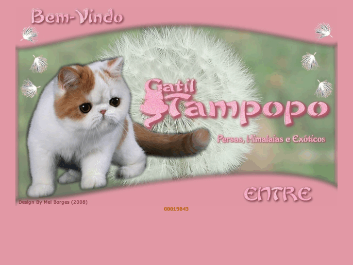 www.gatiltampopo.com