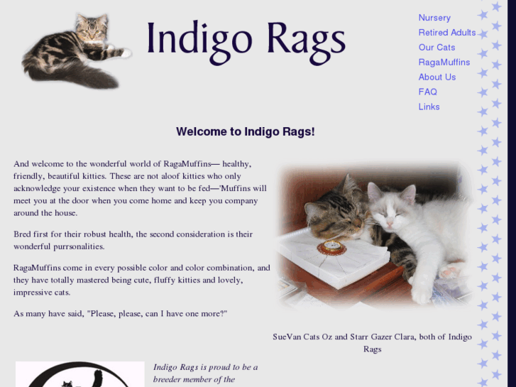 www.indigorags.com