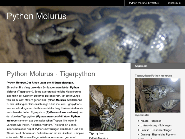 www.pythonmolurus.de