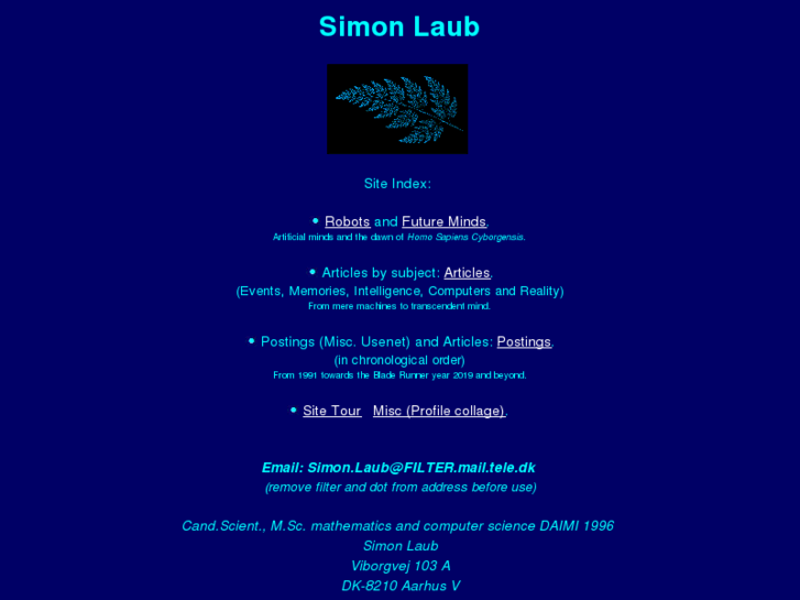 www.simonlaub.net