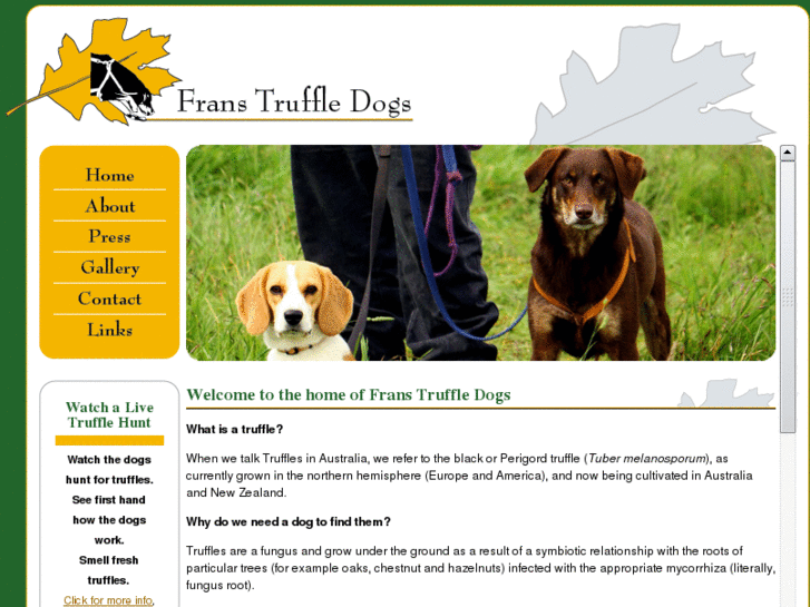 www.trainingtruffledogs.com