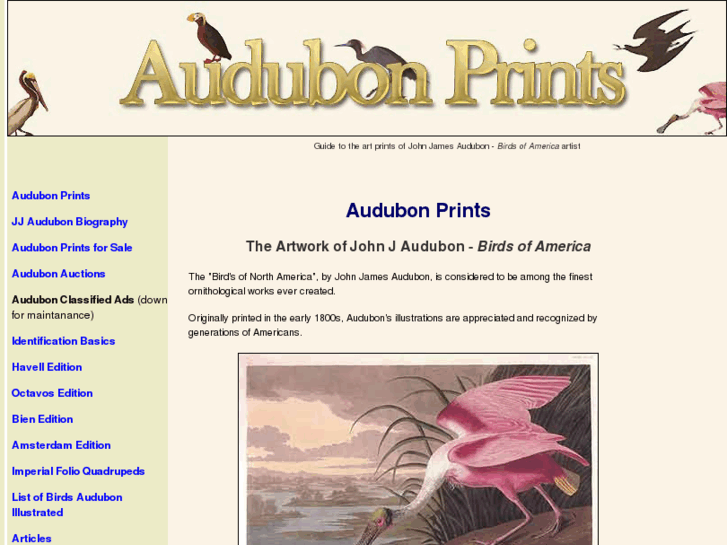 www.audubon-prints.com