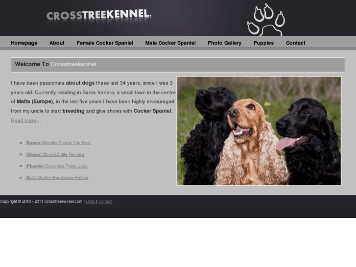 www.crosstreekennel.com