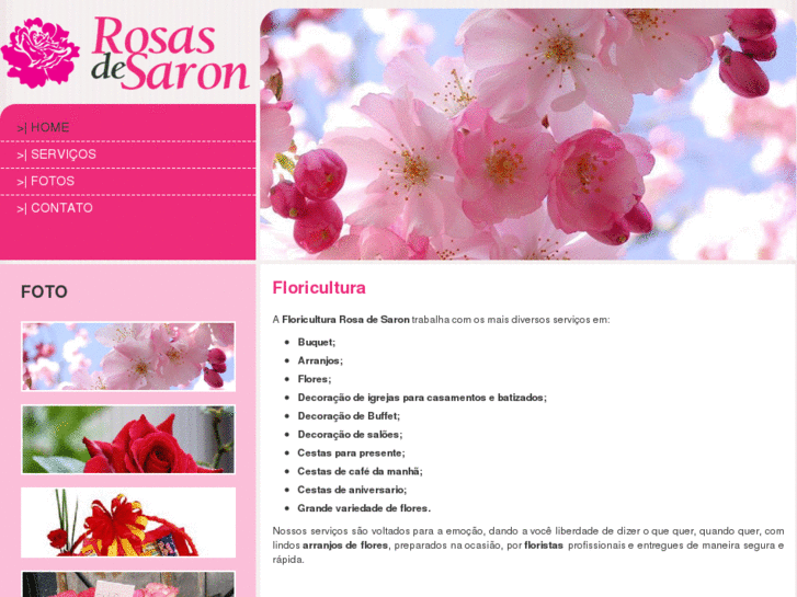 www.floriculturarosadesaron.com