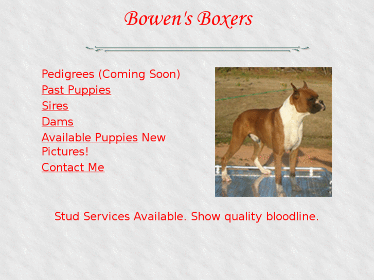 www.bowensboxers.com